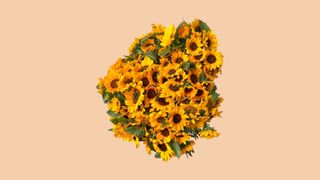 მზესუმზირების დიდი ბუკეტი