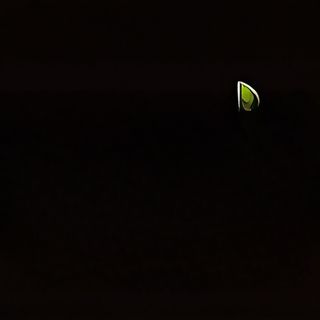 Tagliata di Angus al gorgonzola con patatine