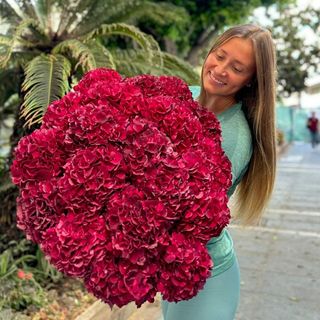 ramo hortensia granate 10