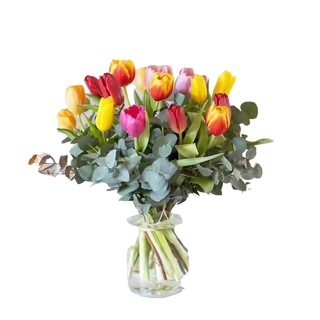 Tulipani multicolore  