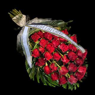 Jerba Trandafiri Rosii