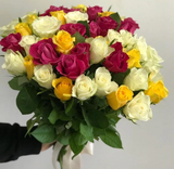 50 ფერადი ვარდი