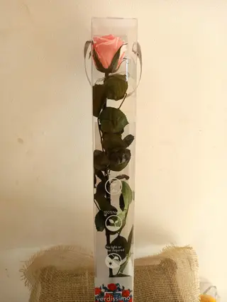 Rosa Eterna Rosa 