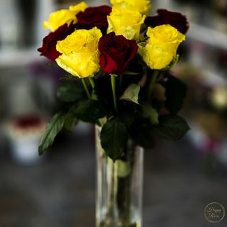 Buchet cu trandafiri Yellow Festival (include vas de sticla)