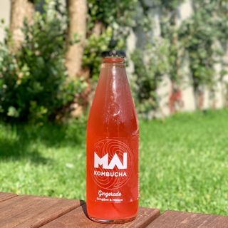 Kombucha de Hibisco e Gengibre