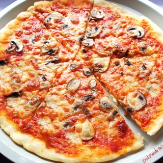 Funghi Champignon
