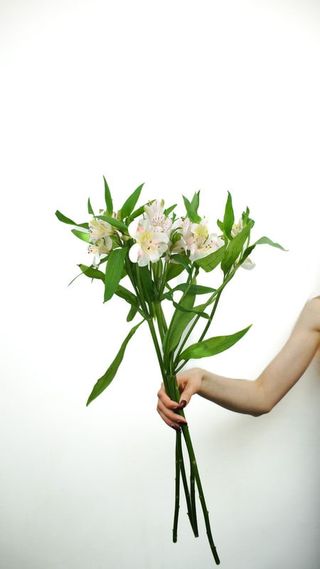 Bukiet Alstromeria mix 5 szt.