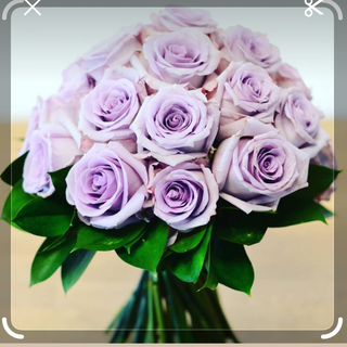 12 roses violettes 