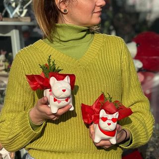 Aranjament plante catel