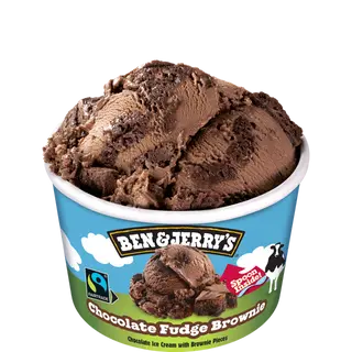 MINI B&J Chocolate Fudge Brownie
