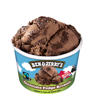 MINI B&J Chocolate Fudge Brownie