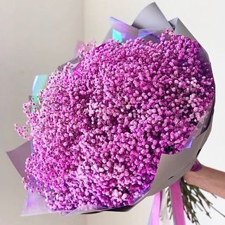 Bukiet różowej gipsówki