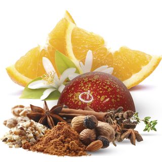 Piernik z pomarańczami (13g)