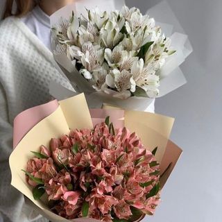 Альстромерії 9 гілок 