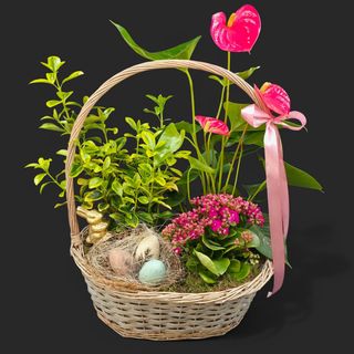 cos de paste cu plante 