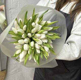 51 білий тюльпан