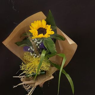 girasole ben confezionato