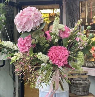 Bukiet Hortensje w Ogrodzie 