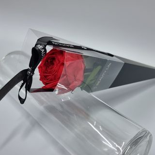 Trandafir criogenat fir ambalat elegance