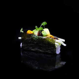 Temaki vegetarian