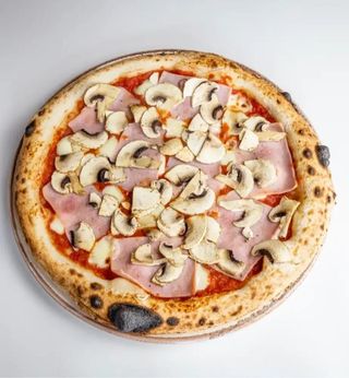 Koło Szyneczki z Pieczarą