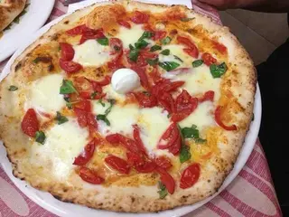 Casertana normale