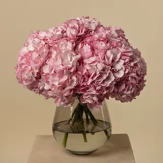 Tallo de Hortensia rosa 