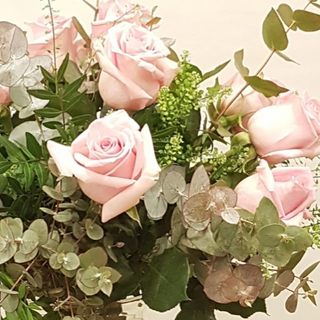 Ramo de Rosas Rosas (Media Docena)