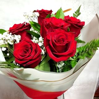6 rosas rojas