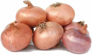 Cipolle 1 kg