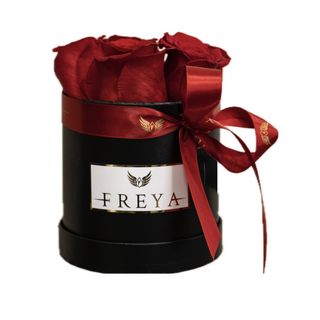 Cutie 5 trandafiri Freedom