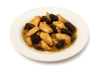 Poulet Morilles