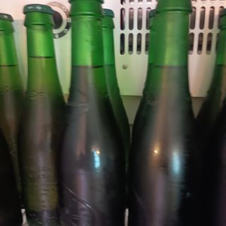 Cerveza Alhambra verde