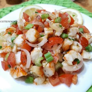 Catalana di Gamberini 