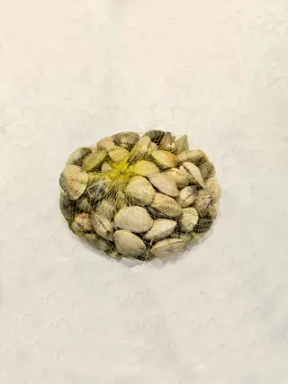 Almeja Galicia Mediana (300 Gr.)
