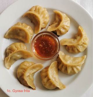 Gyosa Frita
