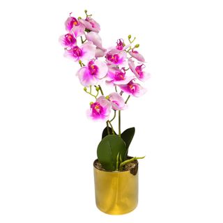 Orchidée rose