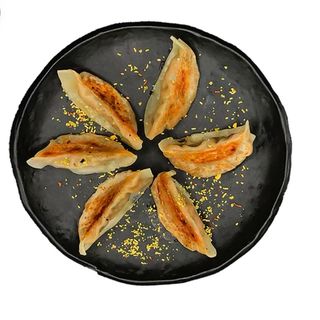 Yakigyoza cerdo con verduras y caceras 