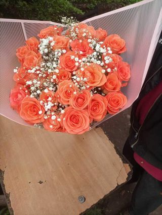 Orange Roses
