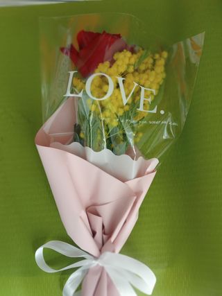 Rosa rossa a gambo lungo finemente confezionata