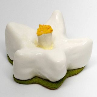 Десерт Квітка цитруса