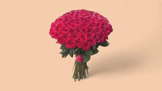 80 ცალი ჰოლანდიური ვარდი