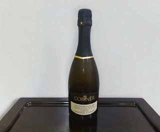 Prosecco Valdobbiadene DOCG extra dry 75 cl