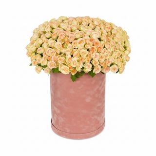 Композиція"Vanilla Cake"