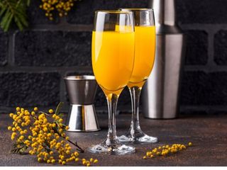 Mimosa Classic