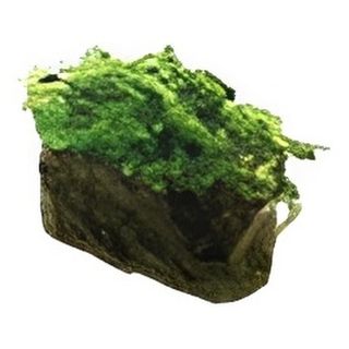 96 Gunkan Nori wakame