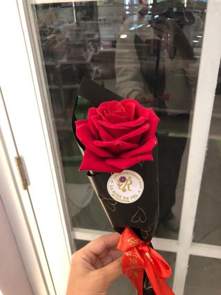 Unique Single Rose