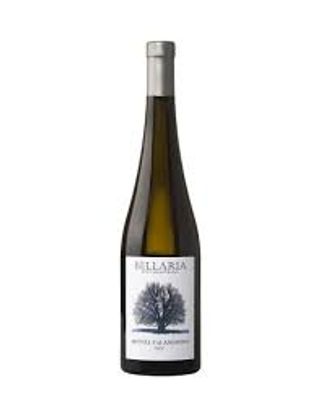 Falanghina Irpinia DOC 2020
