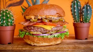 Spicy Arizona burger  <3