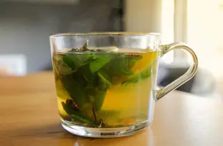 Thé Vert